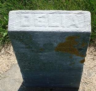 BEALL, DELIA - Allamakee County, Iowa | DELIA BEALL 