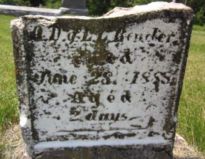 BENDER, INFANT - Allamakee County, Iowa | INFANT BENDER 