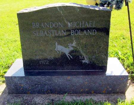 BOLAND, BRANDON MICHAEL S. - Allamakee County, Iowa | BRANDON MICHAEL S. BOLAND 