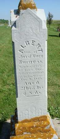 BURGESS, ALBERT - Allamakee County, Iowa | ALBERT BURGESS 