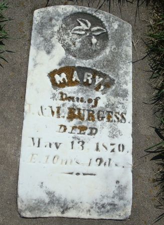 BURGESS, MARY - Allamakee County, Iowa | MARY BURGESS 