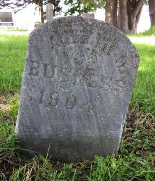 BUSNESS, ALVINO - Allamakee County, Iowa | ALVINO BUSNESS 