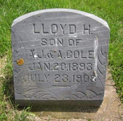 COLE, LLOYD H. - Allamakee County, Iowa | LLOYD H. COLE 