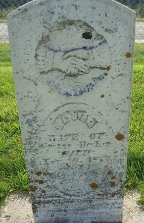 DECKER, LAURA - Allamakee County, Iowa | LAURA DECKER 