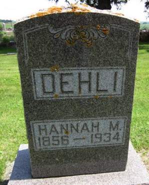DEHLI, HANNAH M. - Allamakee County, Iowa | HANNAH M. DEHLI 