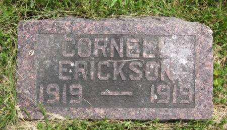 ERICKSON, CORNELL - Allamakee County, Iowa | CORNELL ERICKSON 