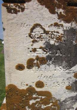 HESLA, INGEBORG - Allamakee County, Iowa | INGEBORG HESLA 