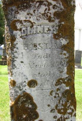 HESLA, OLINE S. - Allamakee County, Iowa | OLINE S. HESLA 