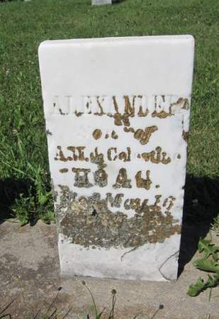 HOAG, ALEXANDER - Allamakee County, Iowa | ALEXANDER HOAG 