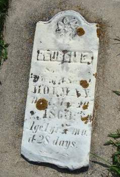 HOLMAN, REUBEN - Allamakee County, Iowa | REUBEN HOLMAN 