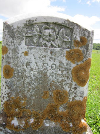 HUFFMAN, CAROL - Allamakee County, Iowa | CAROL HUFFMAN 