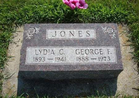 JONES, LYDIA C. - Allamakee County, Iowa | LYDIA C. JONES 