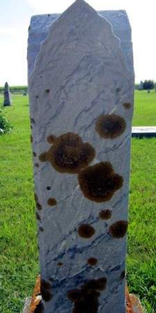 KUEHNE, MABEL - Allamakee County, Iowa | MABEL KUEHNE 