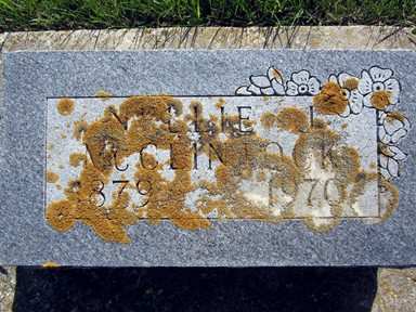 MCCLINTOCK, NELLIE J. - Allamakee County, Iowa | NELLIE J. MCCLINTOCK 