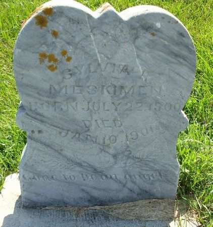 MESKIMEN, SYLVIA R. - Allamakee County, Iowa | SYLVIA R. MESKIMEN 