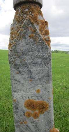 MITCHELL, CARLTON - Allamakee County, Iowa | CARLTON MITCHELL 