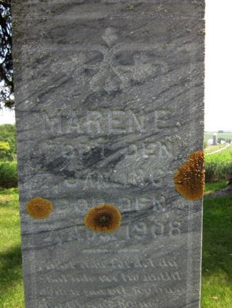 OLSON, MARENE - Allamakee County, Iowa | MARENE OLSON 