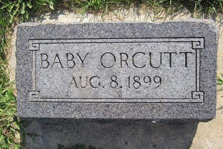 ORCUTT, BABY - Allamakee County, Iowa | BABY ORCUTT 