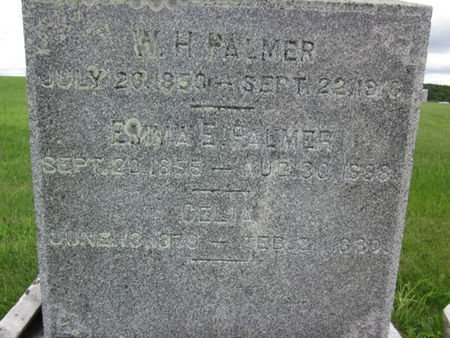 PALMER, CELIA - Allamakee County, Iowa | CELIA PALMER 