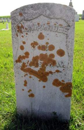 PARDEE, WM W. - Allamakee County, Iowa | WM W. PARDEE 