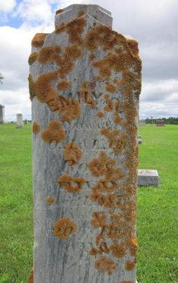 ROSS, EMILY G. - Allamakee County, Iowa | EMILY G. ROSS 