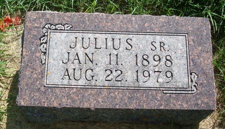 WEBSTER, JULIUS SR. - Allamakee County, Iowa | JULIUS SR. WEBSTER 