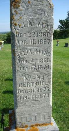 SANNER, SELIA MAUD - Allamakee County, Iowa | SELIA MAUD SANNER 