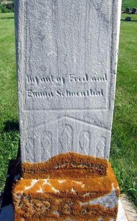 SCHOENTHAL, INFANT - Allamakee County, Iowa | INFANT SCHOENTHAL 