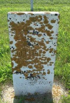 SCHOFIELD, CORNELIA M. - Allamakee County, Iowa | CORNELIA M. SCHOFIELD 