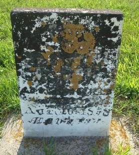 SCHOFIELD, SEELY T. - Allamakee County, Iowa | SEELY T. SCHOFIELD 