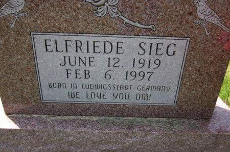 SIEG, ELFRIEDE - Allamakee County, Iowa | ELFRIEDE SIEG 