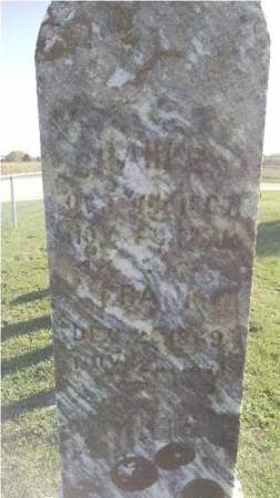 STULL, FRANK - Allamakee County, Iowa | FRANK STULL 