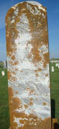 STULL, WILLIAM - Allamakee County, Iowa | WILLIAM STULL 