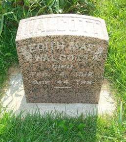 WALCOT, EDITH MAE - Allamakee County, Iowa | EDITH MAE WALCOT 