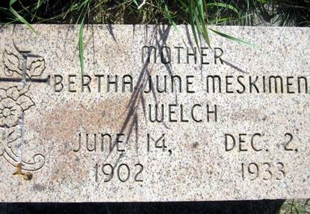 MESKIMEN WELCH, BERTHA JUNE - Allamakee County, Iowa | BERTHA JUNE MESKIMEN WELCH 