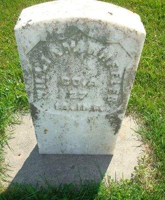 WHEELER, WILLIAM - Allamakee County, Iowa | WILLIAM WHEELER 