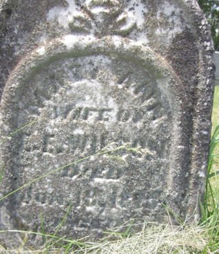 WILSON, MARY ANN - Allamakee County, Iowa | MARY ANN WILSON 