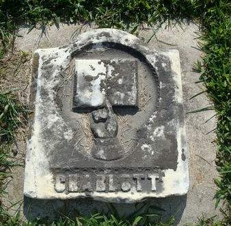 YOUNG, CHARLOTT - Allamakee County, Iowa | CHARLOTT YOUNG 