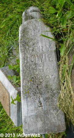 BOWIE, MARY - Appanoose County, Iowa | MARY BOWIE 