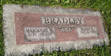 BRADLEY, BUDDY R. - Appanoose County, Iowa | BUDDY R. BRADLEY 