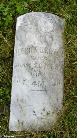 BROWN, HARRY - Appanoose County, Iowa | HARRY BROWN 