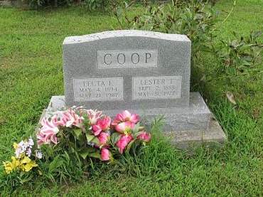 COOP, LECTA EMILY - Appanoose County, Iowa | LECTA EMILY COOP 