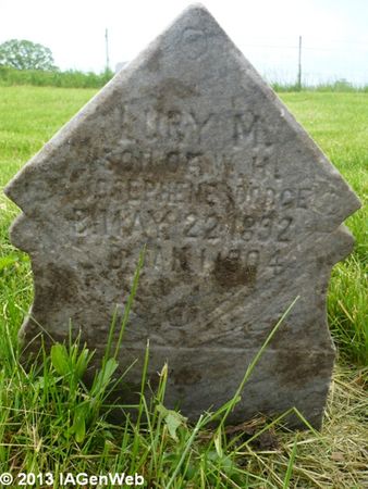 DODGE, LURY M. - Appanoose County, Iowa | LURY M. DODGE 