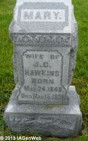 HAWKINS, MARY - Appanoose County, Iowa | MARY HAWKINS 