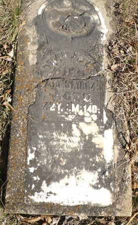 LAW, JOSIAH S. - Appanoose County, Iowa | JOSIAH S. LAW 