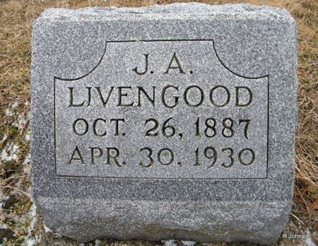 LIVENGOOD, JAMES ALBERT - Appanoose County, Iowa | JAMES ALBERT LIVENGOOD 