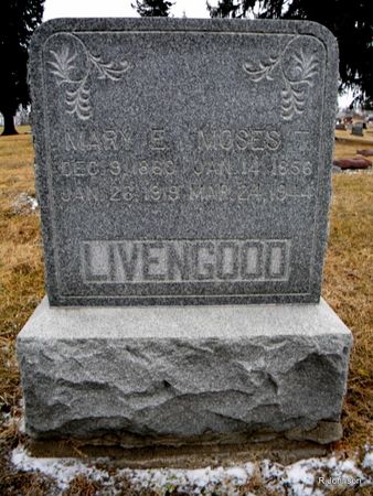 LIVENGOOD, MOSES - Appanoose County, Iowa | MOSES LIVENGOOD 