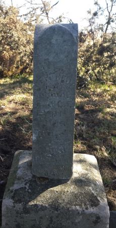 LYON, GERTRUDE MAY - Appanoose County, Iowa | GERTRUDE MAY LYON 