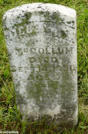 MCCOLLUM, DELLA F - Appanoose County, Iowa | DELLA F MCCOLLUM 