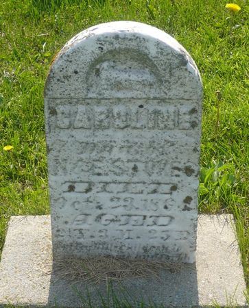 STOKES, CAROLINE - Appanoose County, Iowa | CAROLINE STOKES 